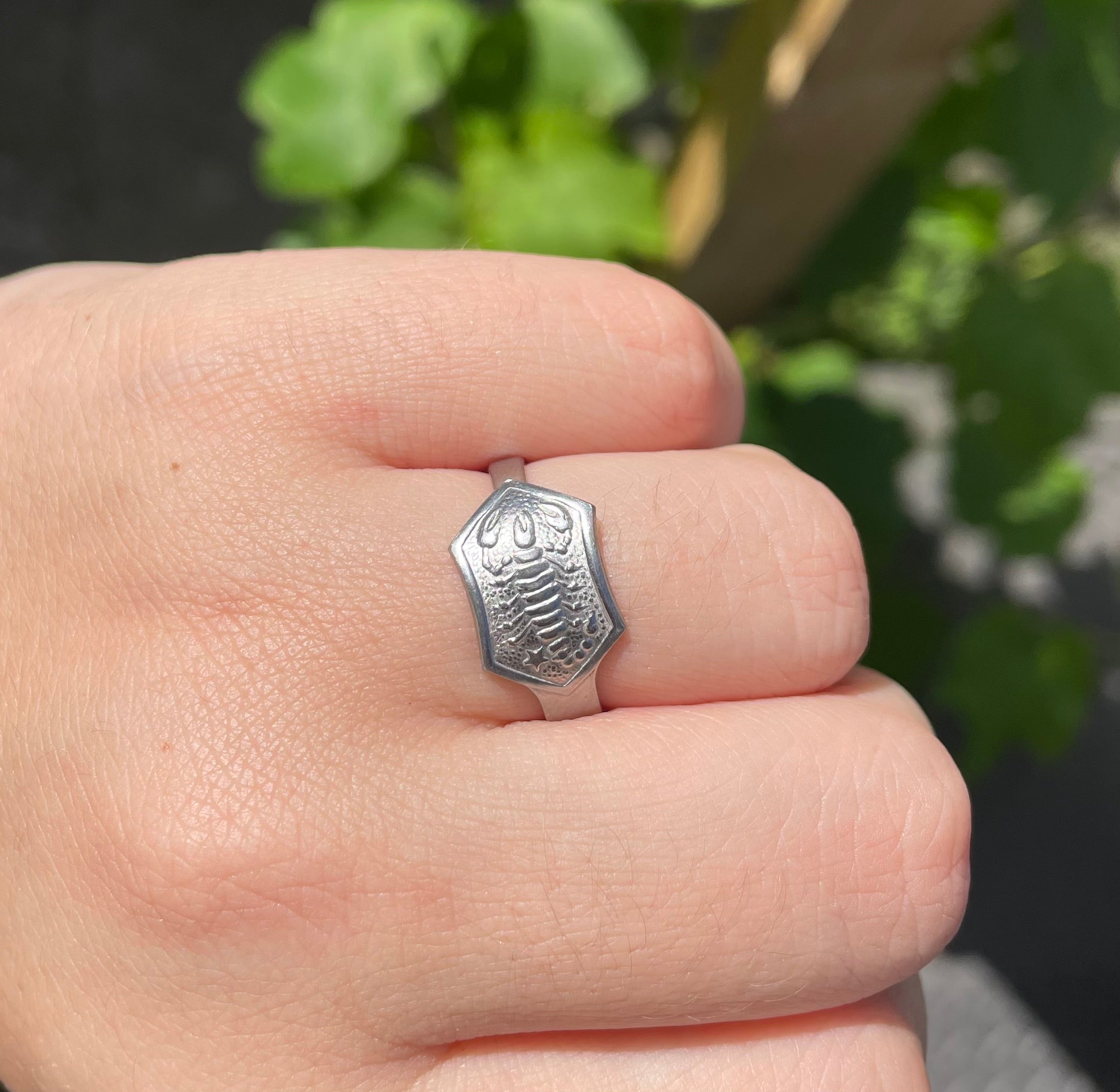 Stainless steel sterrenbeeld ring