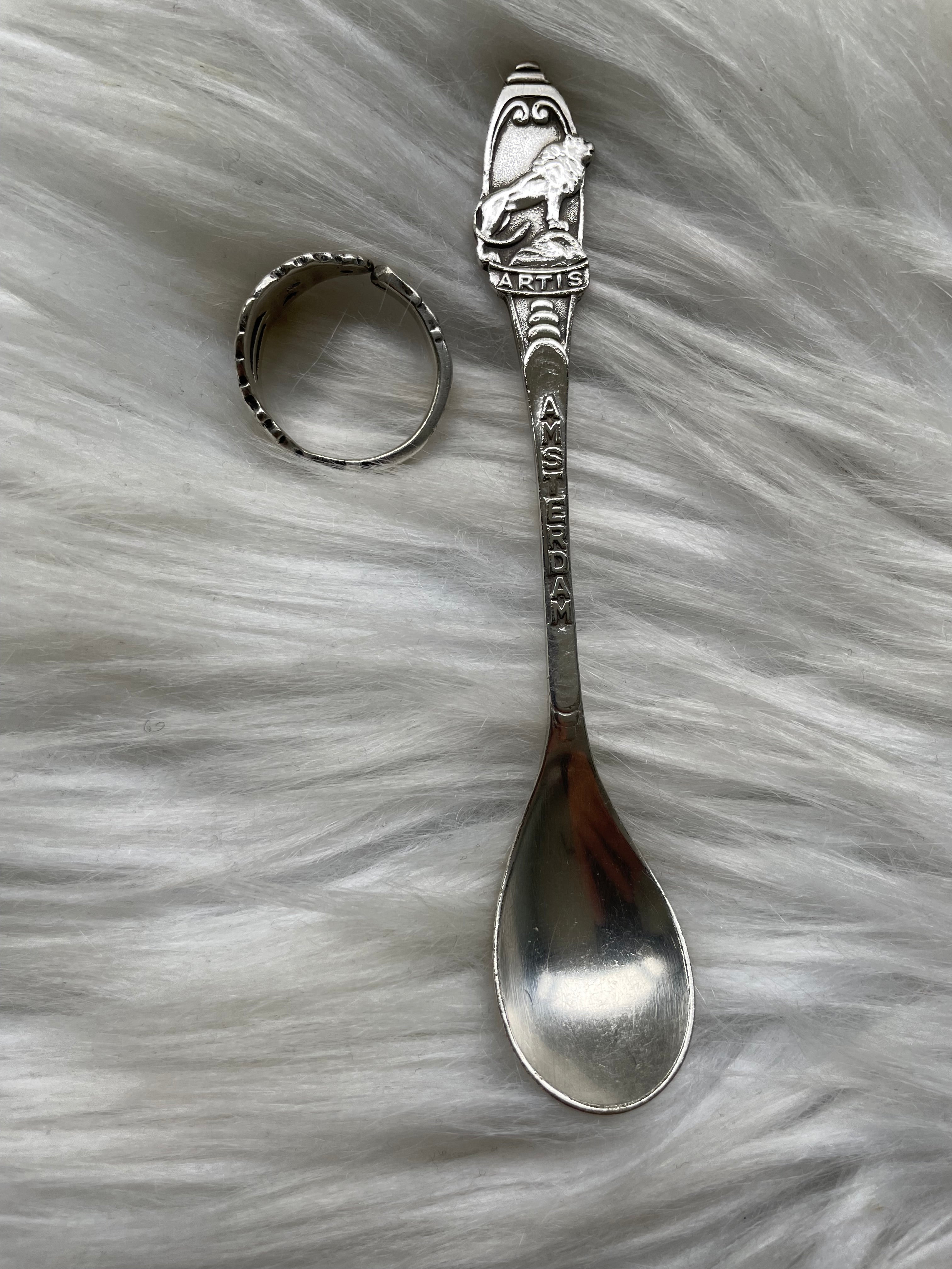 Artis Amsterdam - ring