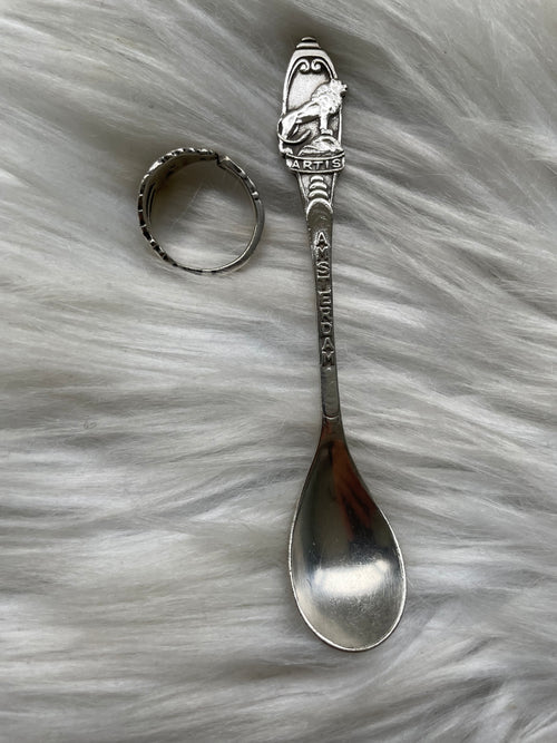 Artis Amsterdam - ring